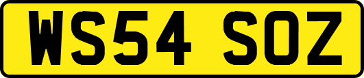 WS54SOZ