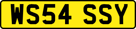 WS54SSY