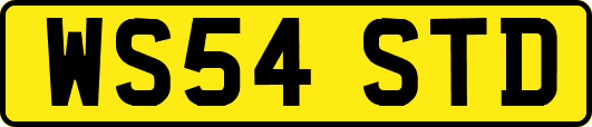 WS54STD