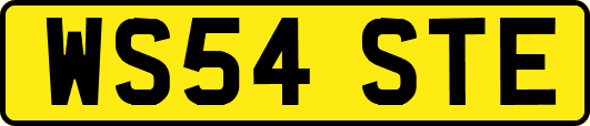 WS54STE