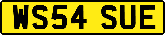 WS54SUE