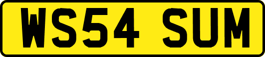 WS54SUM