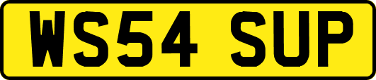 WS54SUP