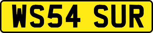 WS54SUR