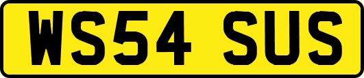 WS54SUS