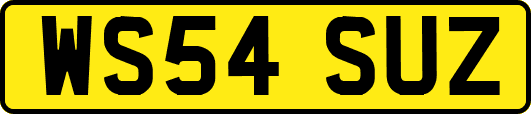 WS54SUZ