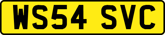 WS54SVC