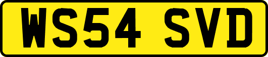 WS54SVD