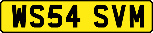 WS54SVM