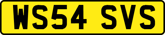 WS54SVS