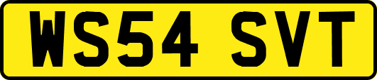 WS54SVT