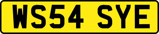 WS54SYE