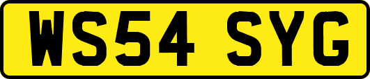 WS54SYG
