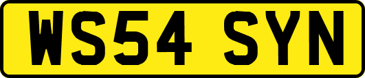WS54SYN