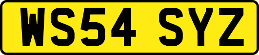 WS54SYZ