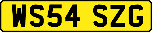 WS54SZG