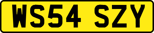 WS54SZY