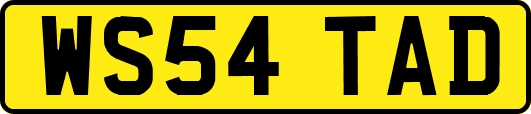 WS54TAD
