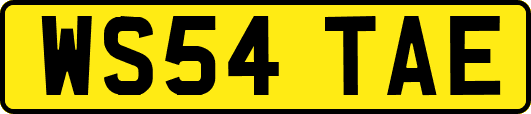 WS54TAE