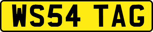 WS54TAG