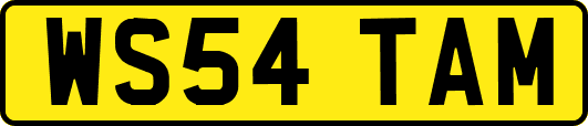 WS54TAM