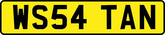 WS54TAN