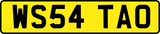WS54TAO