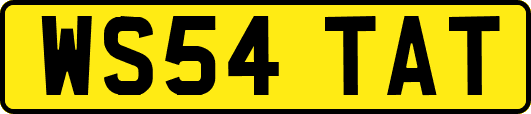 WS54TAT