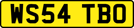 WS54TBO