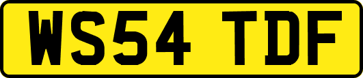 WS54TDF