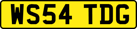 WS54TDG