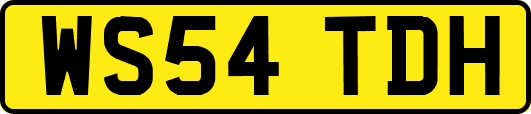 WS54TDH