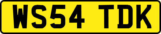 WS54TDK