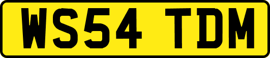 WS54TDM