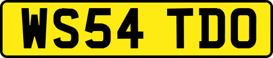 WS54TDO