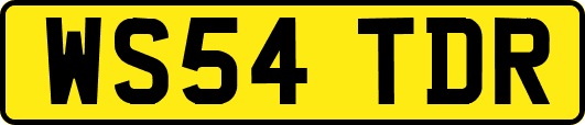 WS54TDR
