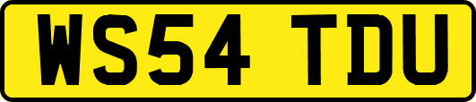 WS54TDU