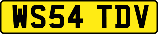 WS54TDV