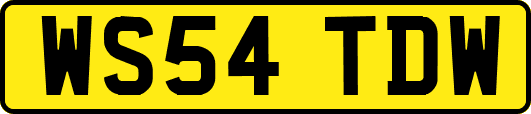 WS54TDW