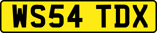 WS54TDX