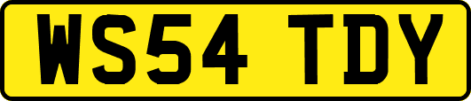 WS54TDY
