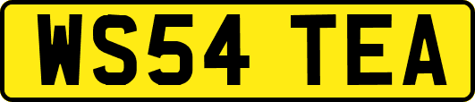 WS54TEA
