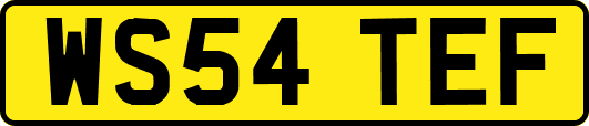 WS54TEF