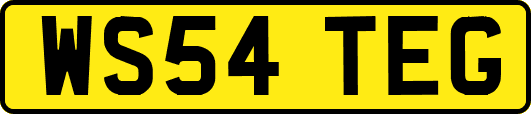 WS54TEG