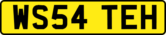 WS54TEH