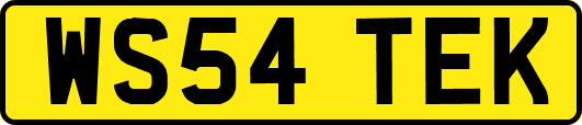 WS54TEK