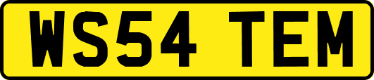 WS54TEM
