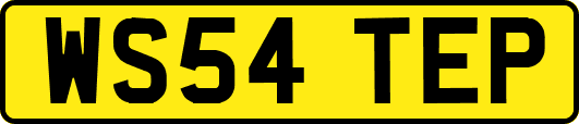 WS54TEP