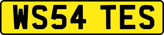 WS54TES