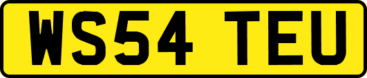 WS54TEU